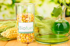 Elmbridge biofuel availability